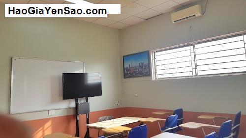 Tình trạng Hoạt động & Đánh giá 2 Trung tâm Ngoại ngữ tại Quỳnh Lưu, T. Nghệ An (Phần 2)