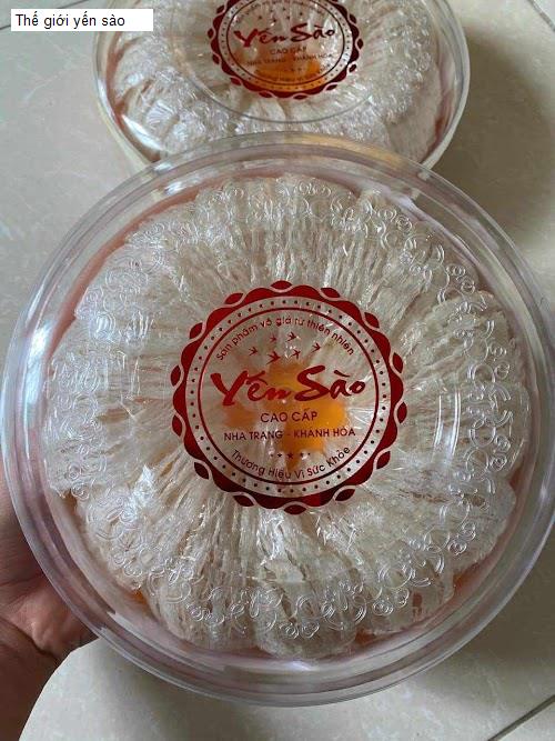  Nghệ An - Danh sách 3 Cửa Hàng Yến Sào tại H. Quỳnh Lưu, T. Nghệ An (Cũ)