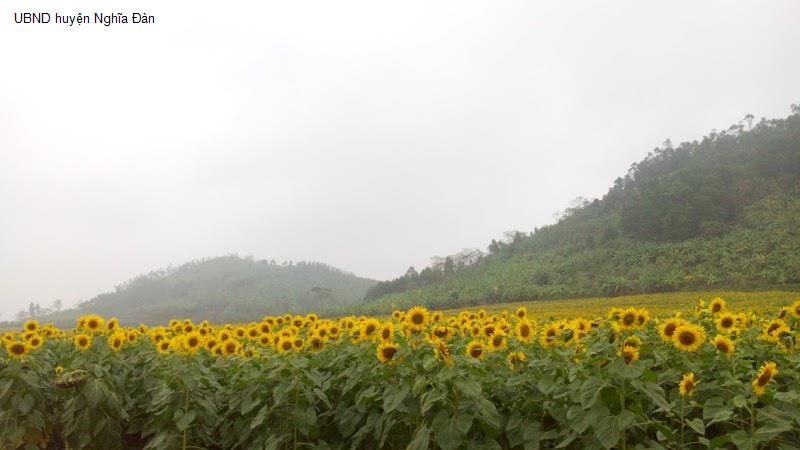 UBND huyện Nghĩa Đàn