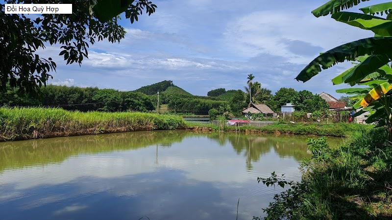 Đồi Hoa Quỳ Hợp
