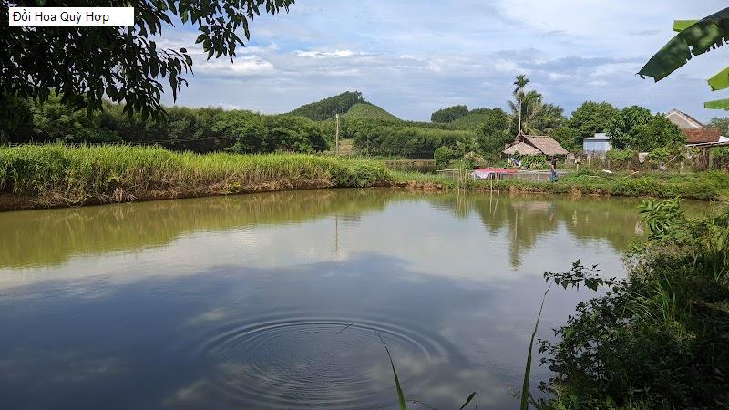 Đồi Hoa Quỳ Hợp