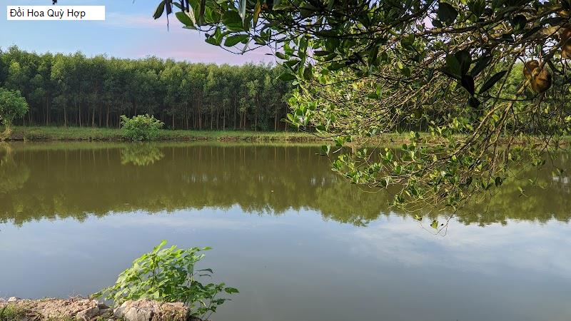 Đồi Hoa Quỳ Hợp