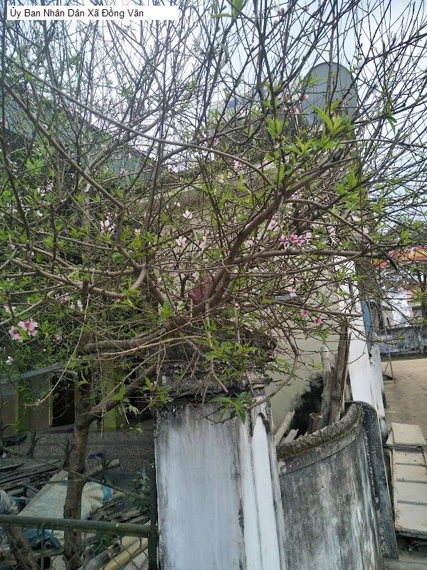 Ủy Ban Nhân Dân Xã Đồng Văn