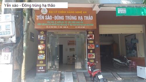 Yến sào - Đông trùng hạ thảo